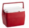 Food Cooler Box